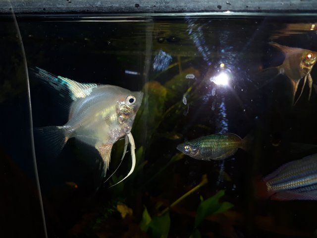 20200724_155357.jpg