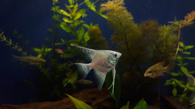 20200808_162658.jpg