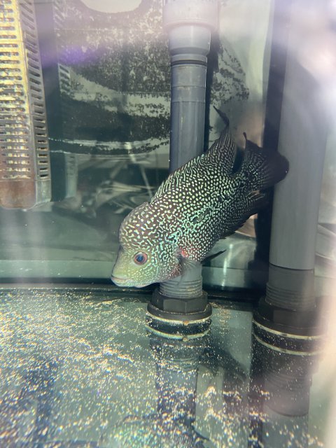 F997DDE1-AD21-426E-8000-001AF5A4D1F5.jpeg