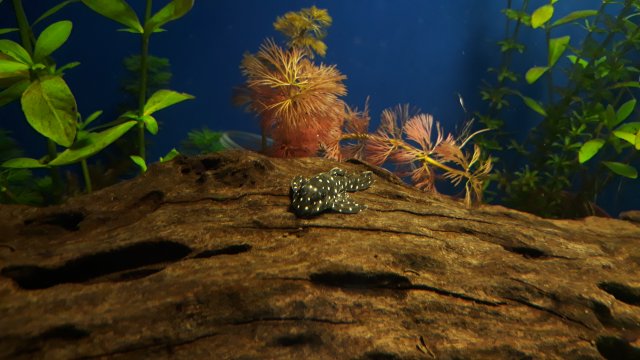 20200816_234539.jpg