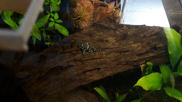 20200816_234757.jpg