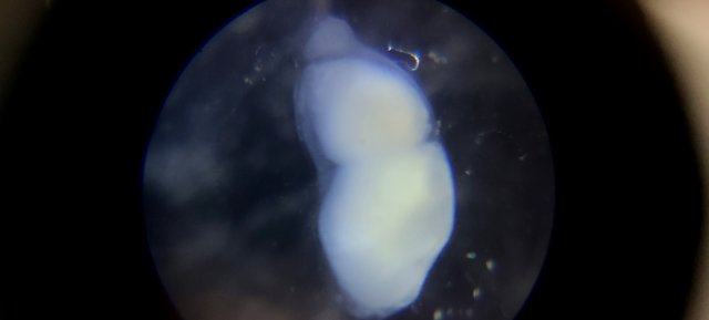 20200812_115511.jpg
