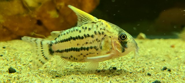 20200818_202535.jpg