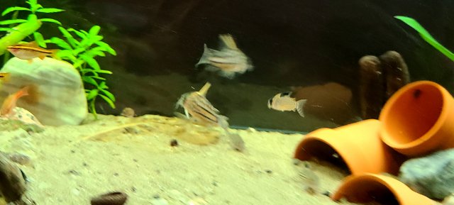20200823_200357.jpg