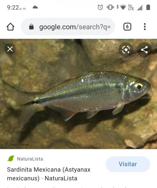 Screenshot_20200824_212257~2.jpg