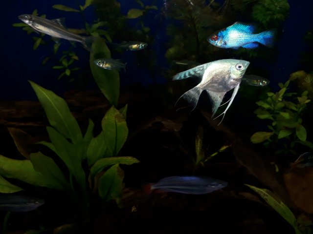 20200827_230611.jpg