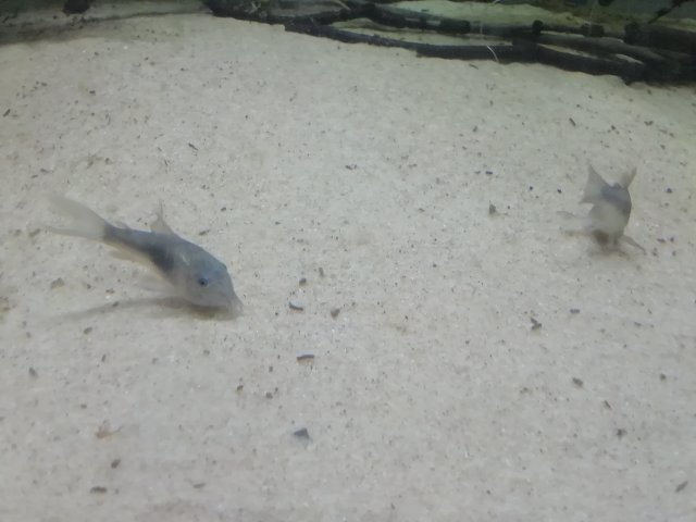 IMG_20200829_133839.jpg
