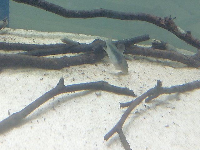 IMG_20200829_144600.jpg