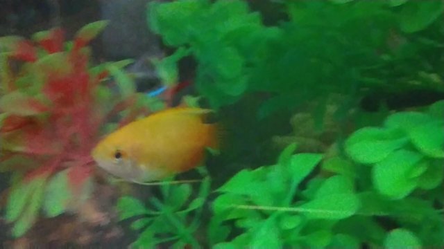 200906_184747~2_exported_5672_1599386308324.jpg