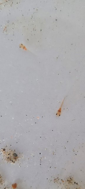20200912_180741.jpg