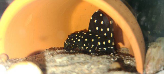 20200909_205753.jpg