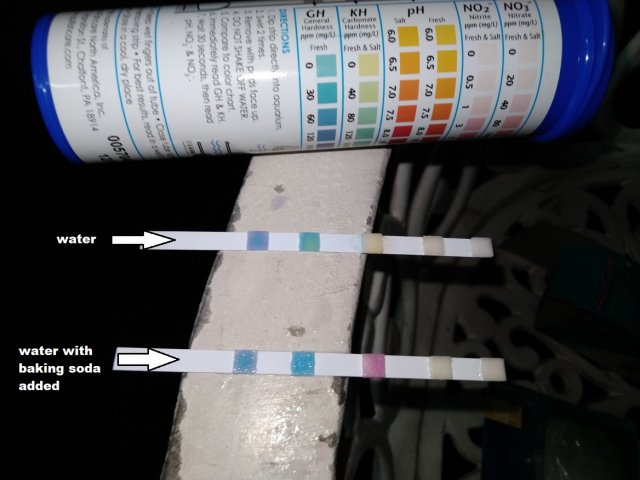 P_20200913_193716.jpg