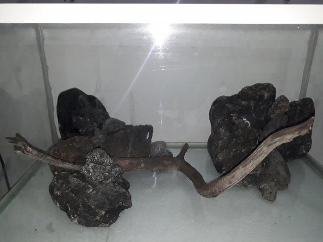 20200915_235041.jpg