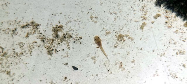 20200915_230723.jpg