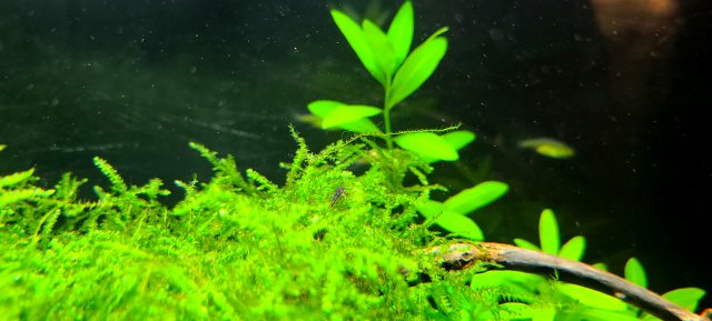20200914_203801.jpg