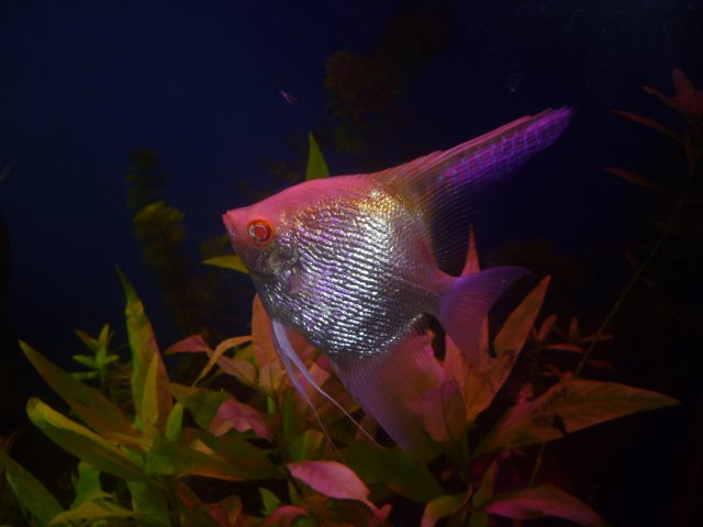 P1010109.JPG