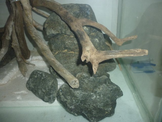 P1010250.JPG
