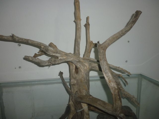 P1010251.JPG
