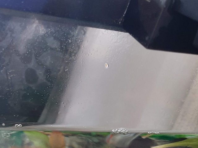 20200928_124149.jpg