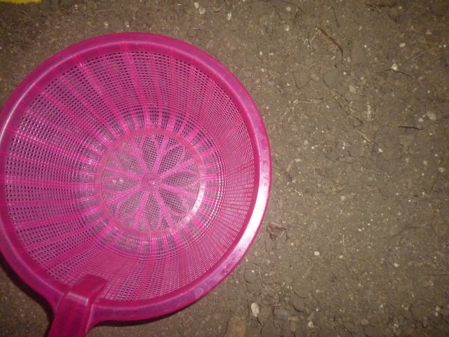 P1010393.JPG
