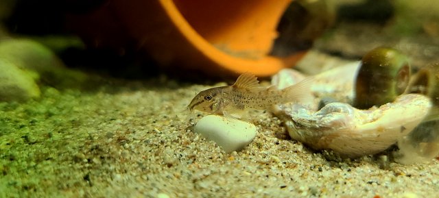 20201003_210826.jpg