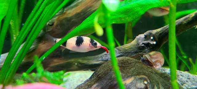 20201004_211516.jpg