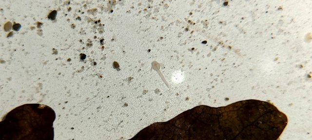 20201009_230618.jpg