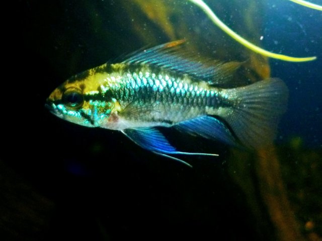 P1010606~3.JPG