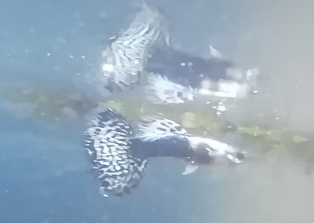 IMG_20201022_213649.jpg
