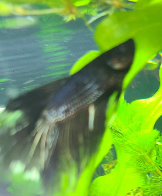 20201022_144607.jpg