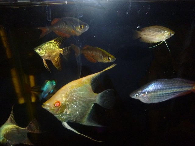 P1010750.JPG