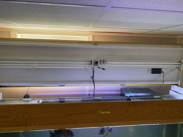 IMG_5186.JPG IMG_5186.JPG