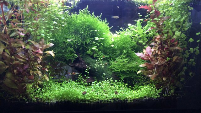 image0.jpg