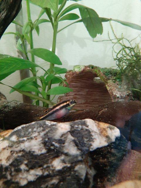20201105_165541.jpg