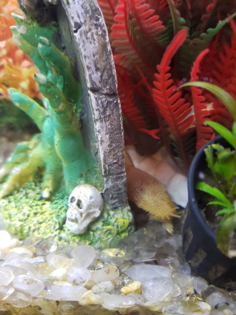 20201112_225549.jpg