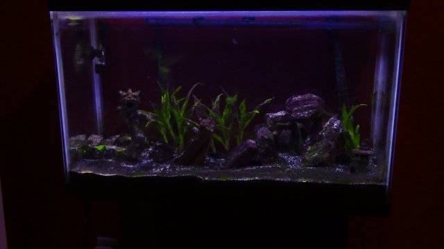 IMG_2952.JPG IMG_2952.JPG