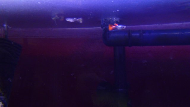 IMG_2955.JPG IMG_2955.JPG