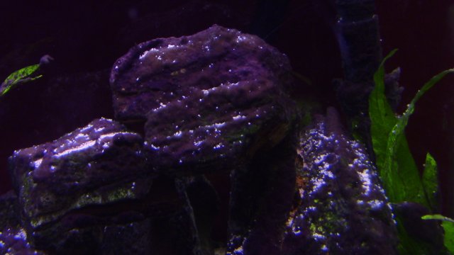 IMG_2957.JPG IMG_2957.JPG