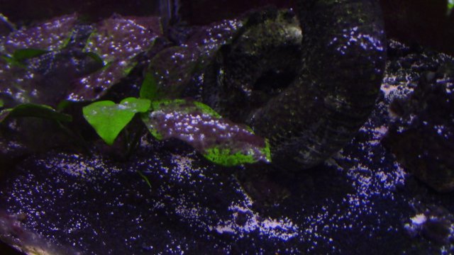 IMG_2958.JPG IMG_2958.JPG