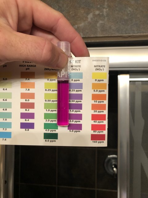 85B59C23-436A-4168-B0D7-4647AEBED39E.jpeg