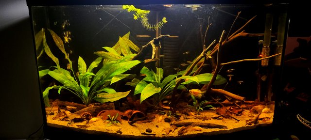 20201118_003921.jpg