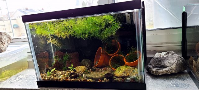 20201117_142117.jpg