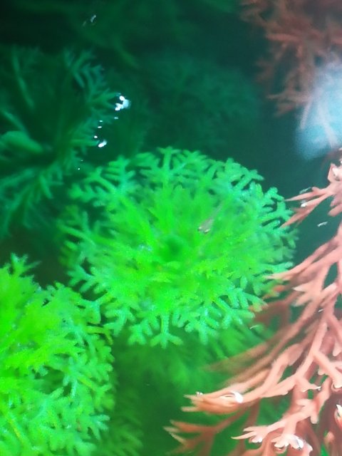 IMG_20201116_181245.jpg