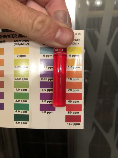 0F2E185D-495D-4273-A09F-9BAA1A068072.jpeg