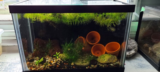 20201127_142708.jpg