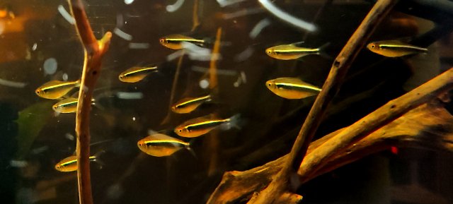 20201121_001907.jpg