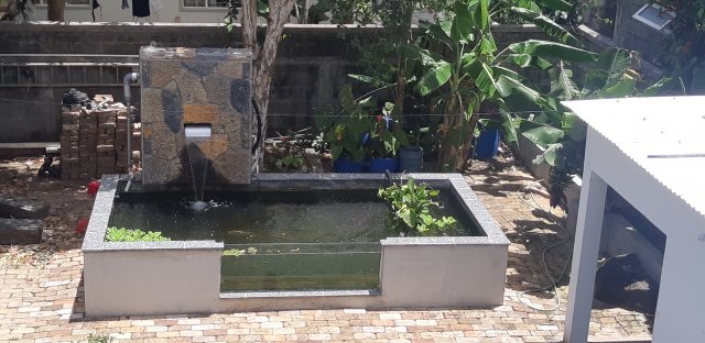 20201108_124043.jpg
