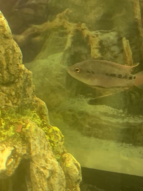 IMG_3833.JPEG