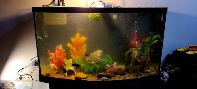 20201210_202029.jpg