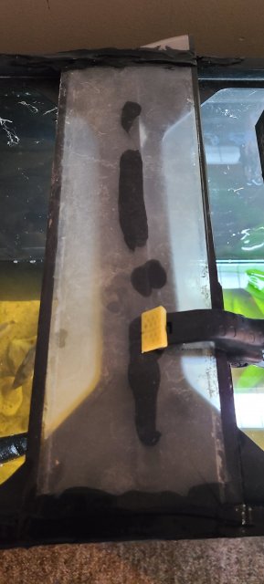 20201210_210937.jpg 20201210_210937.jpg